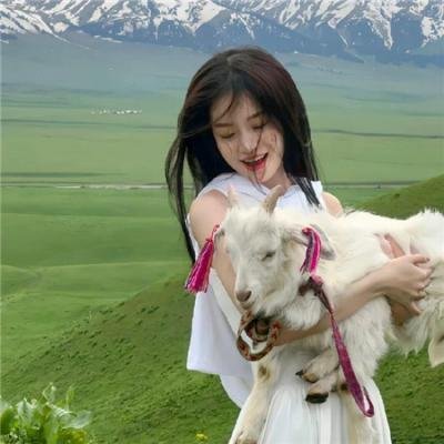 好莱坞芭比电影版